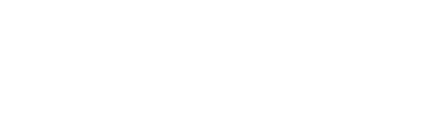 Visionary Optometry Practice Software Logo